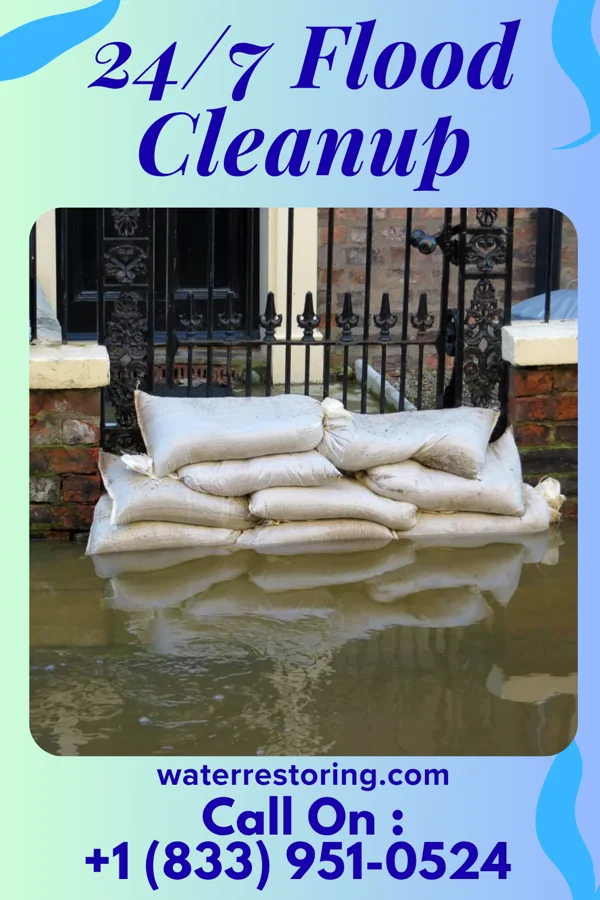 24/7 Flood Cleanup in Seco Mines, TX