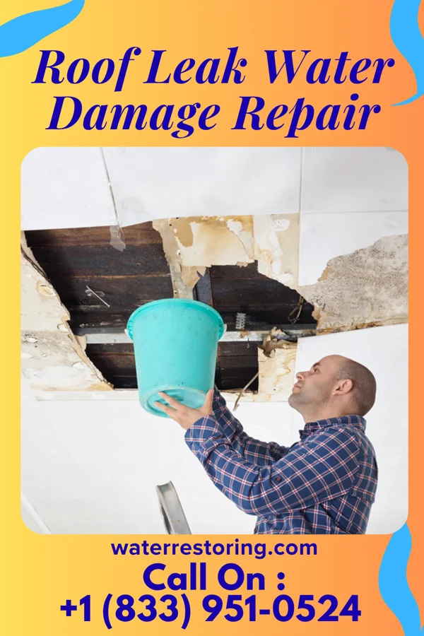 Roof Leak Water Damage Repair in Seco Mines, TX