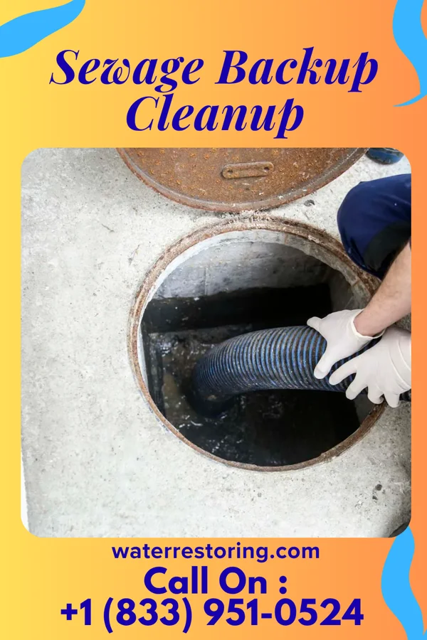 Sewage Backup Cleanup in Seco Mines, TX